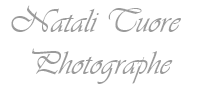 Logo for Natali Tuore Photographe